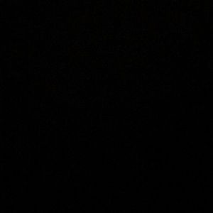 Meet your Posher, Rylei